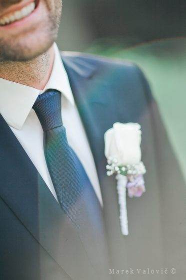 groom's tie - posing groom