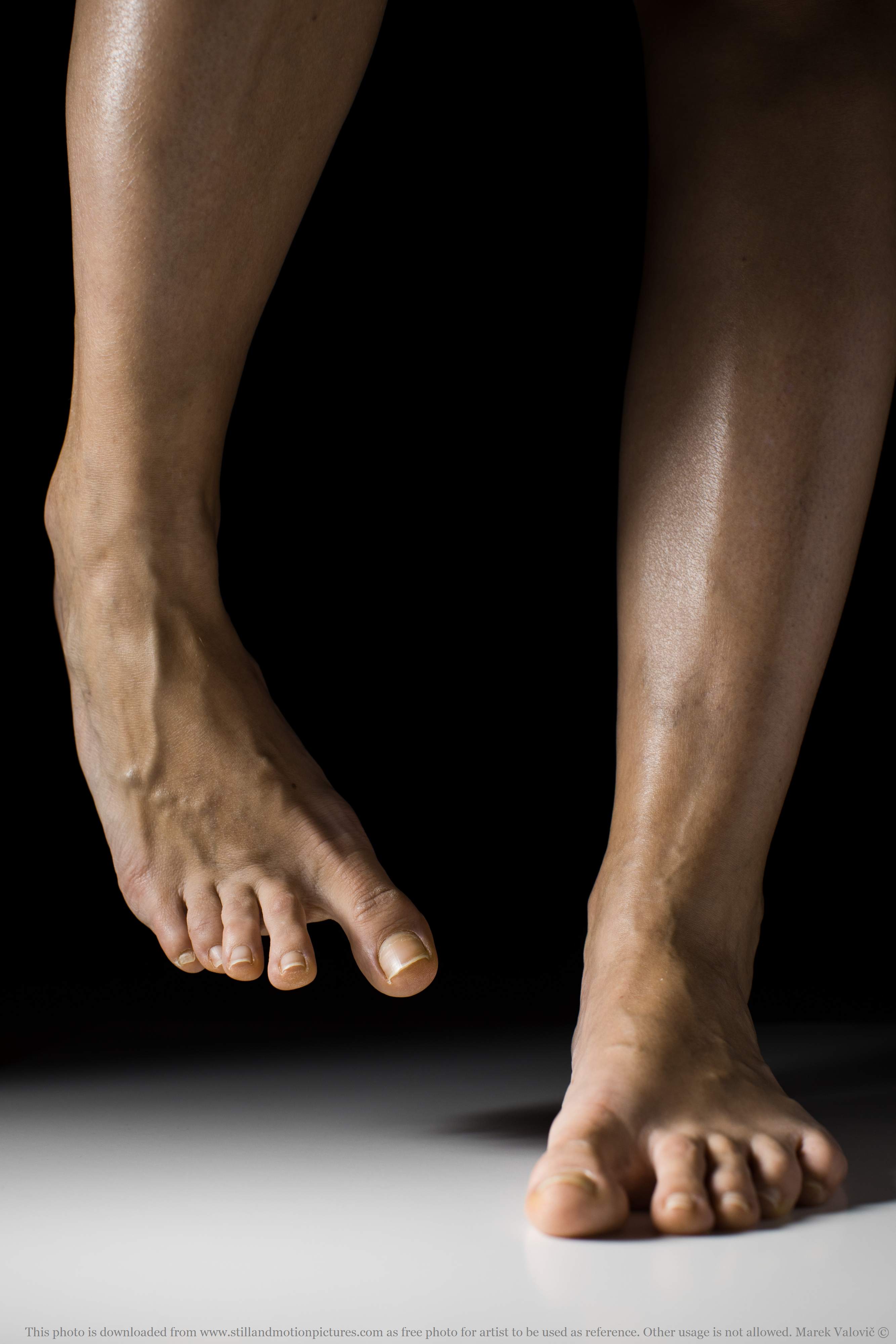 feet anatomy - woman's feet with veins visible - freereference photo for artists